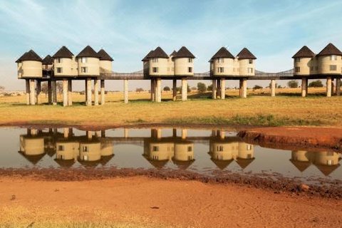 4 TAGE TSAVO OST-, SALTLICK- UND AMBOSELI-SAFARI