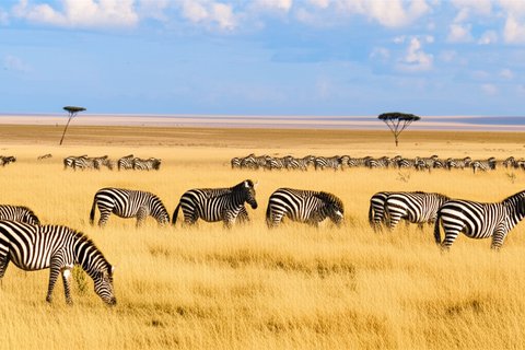 6 days Masai Mara, lake Nakuru,lake naivasha, amboseli